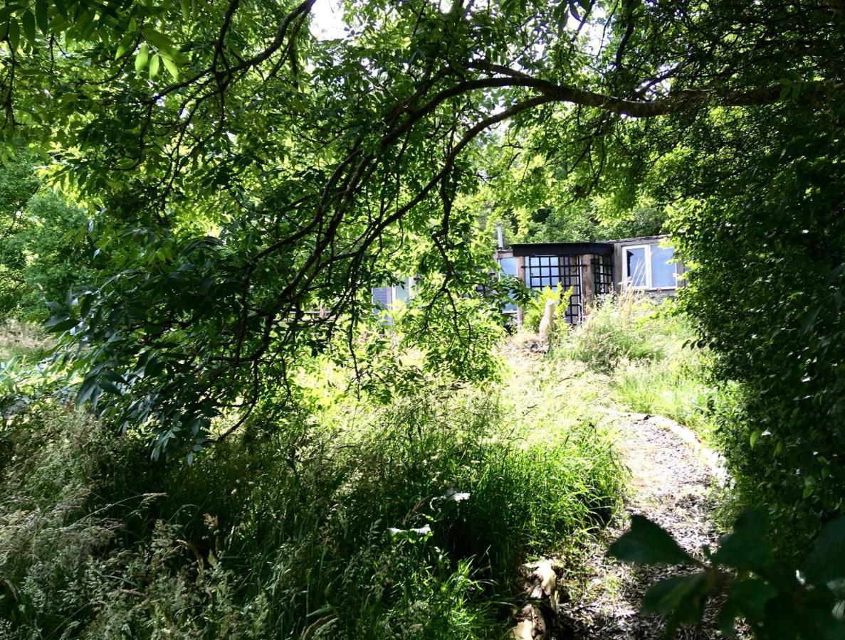 Field Hut Villa Wadebridge Ngoại thất bức ảnh