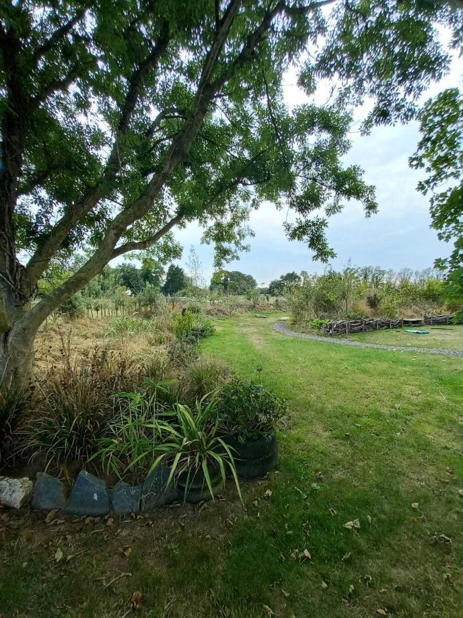 Field Hut Villa Wadebridge Ngoại thất bức ảnh